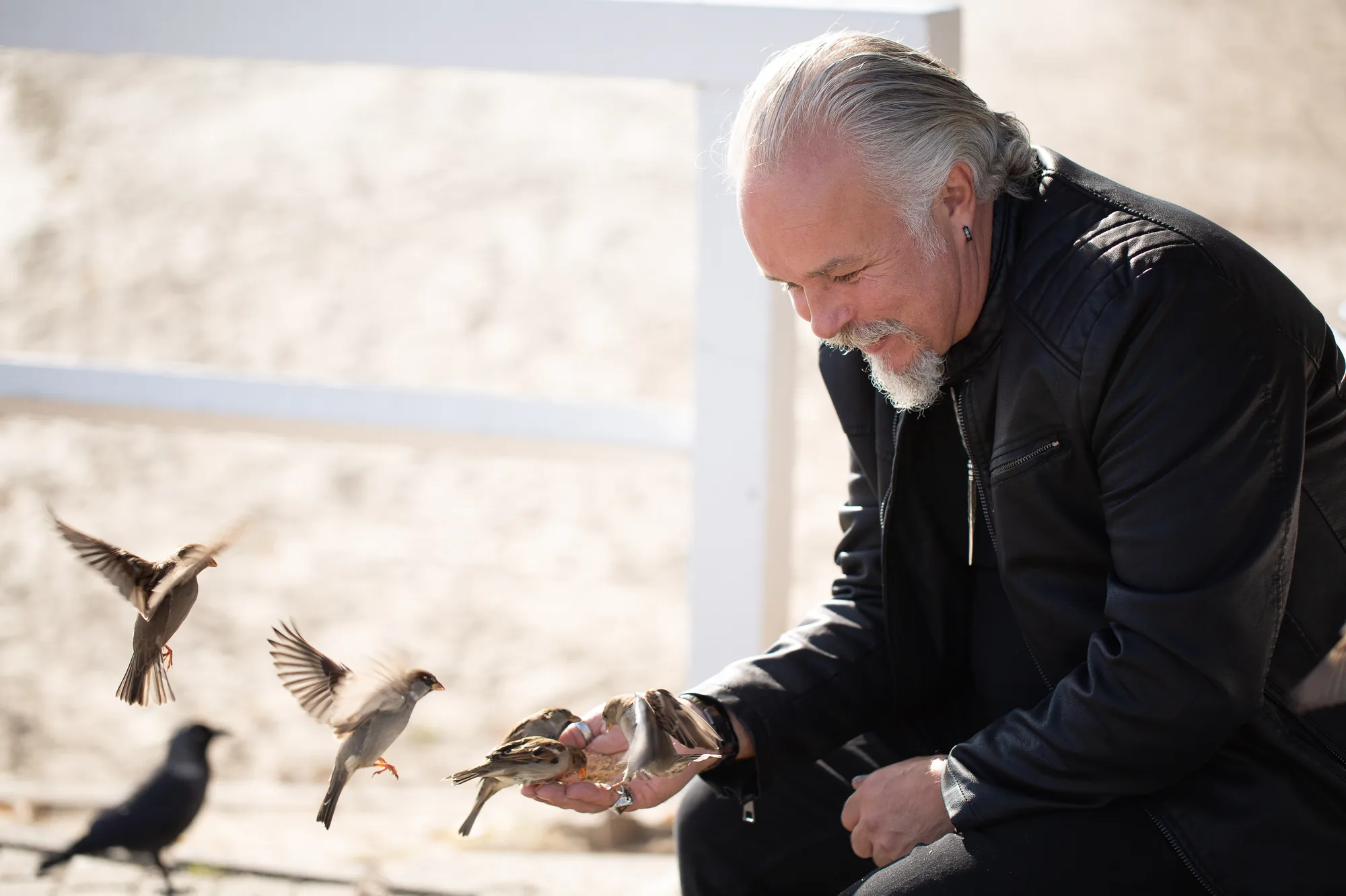 Martin Rothery feeding birds